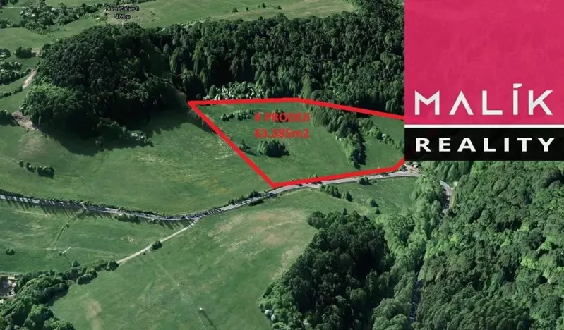 Prodej louky, Stráž nad Ohří, 63385 m2