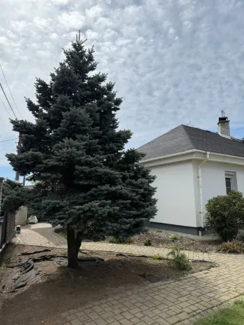 Pronájem rodinného domu, Úvaly, Purkyňova, 160 m2