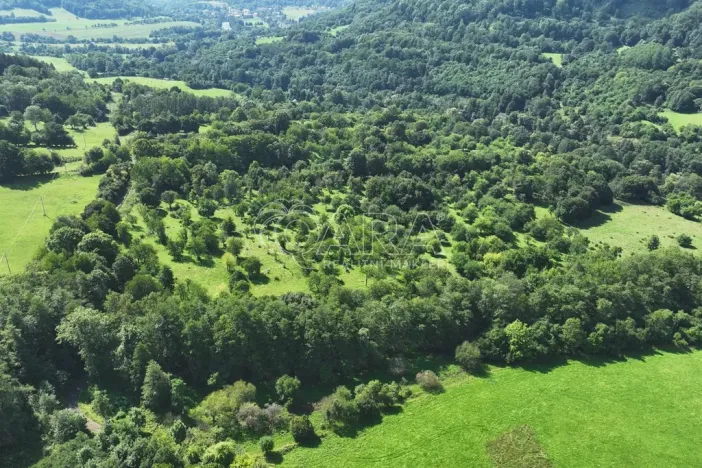 Prodej sadu/vinice, Vojkovice - Jakubov, 199287 m2