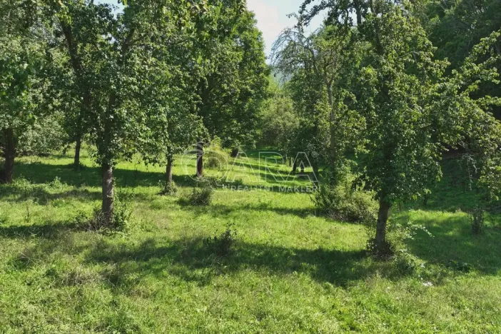 Prodej sadu/vinice, Vojkovice - Jakubov, 199287 m2