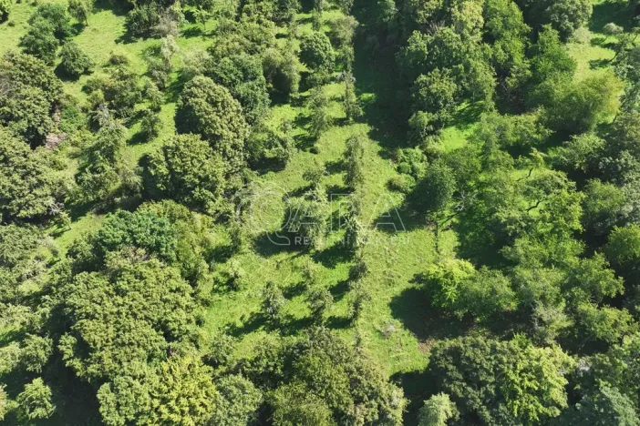 Prodej sadu/vinice, Vojkovice - Jakubov, 199287 m2