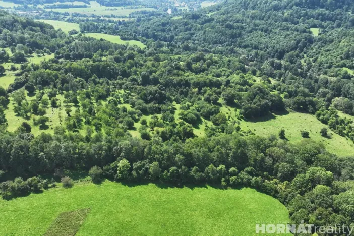 Prodej louky, Vojkovice - Jakubov, 199287 m2