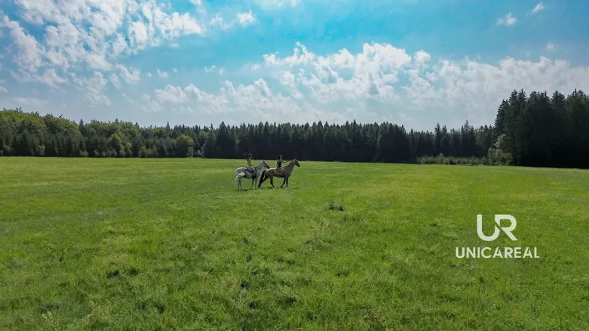 Prodej rodinného domu, Kamenná Horka, 273 m2
