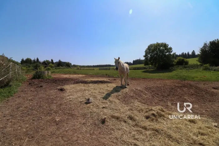 Prodej rodinného domu, Kamenná Horka, 273 m2