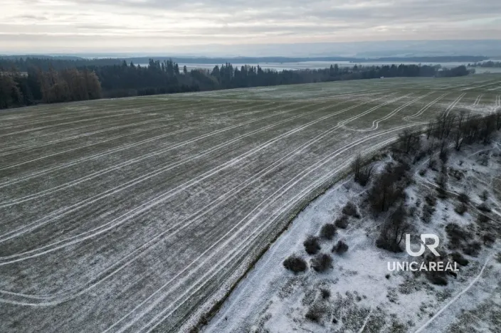 Prodej rodinného domu, Kamenná Horka, 273 m2