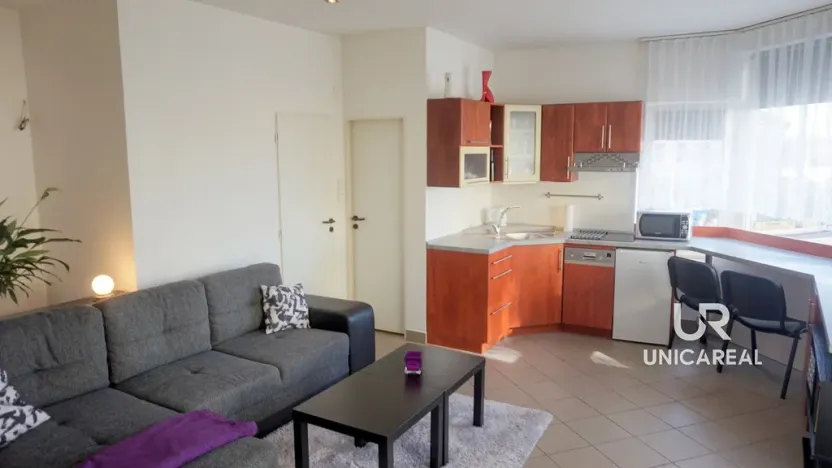 Pronájem bytu 1+kk, Brno - Židenice, Táborská, 33 m2