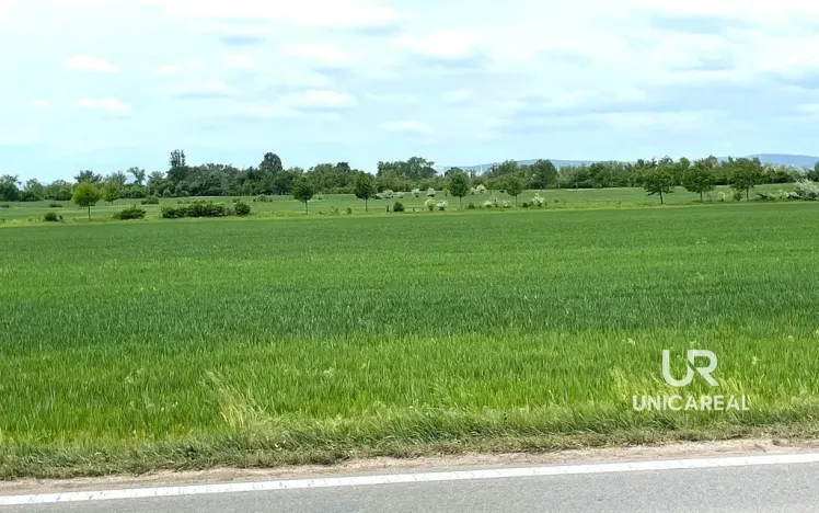 Prodej pole, Brno, 11752 m2