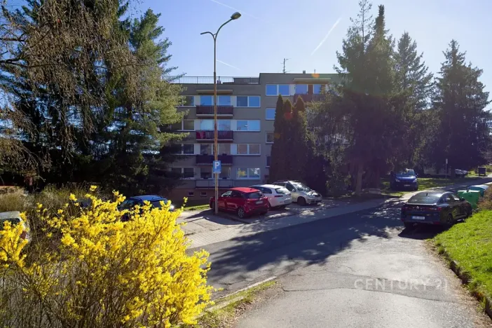 Pronájem bytu 3+1, Děčín, Slezská, 89 m2