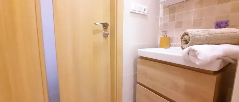 Pronájem bytu 1+1, Brno, Fričova, 46 m2