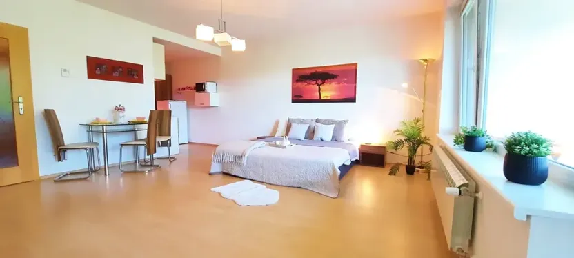 Pronájem bytu 1+kk, Brno, Šemberova, 51 m2