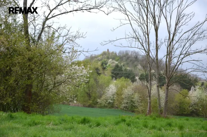 Prodej louky, Podhradí, 744 m2