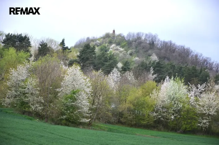 Prodej louky, Podhradí, 744 m2