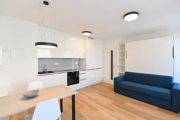 Pronájem bytu 1+kk, Praha - Kamýk, Hodkovická, 30 m2