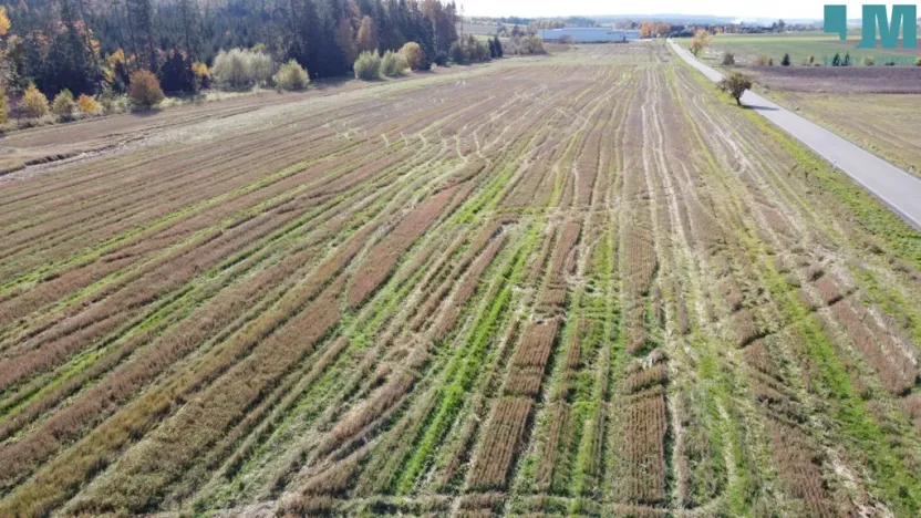 Prodej komerčního pozemku, Želetava - Šašovice, 1354 m2