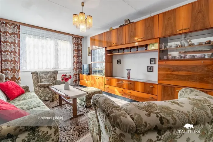 Prodej bytu 3+1, Plasy, Potoční, 74 m2