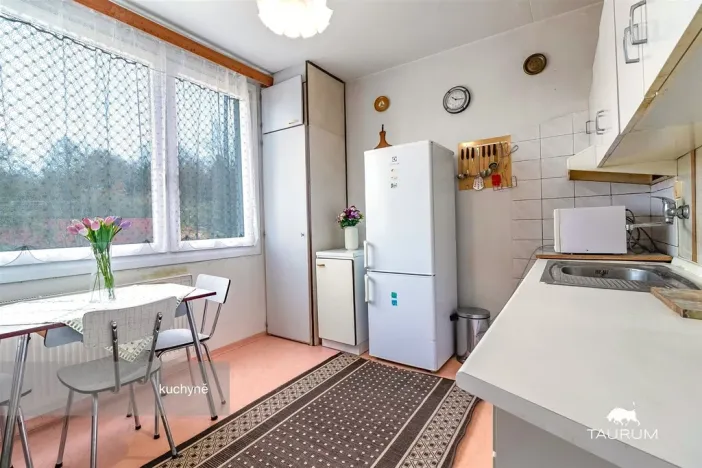 Prodej bytu 3+1, Plasy, Potoční, 74 m2