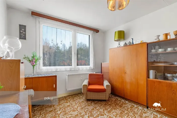 Prodej bytu 3+1, Plasy, Potoční, 74 m2