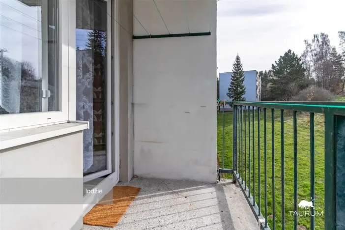 Prodej bytu 3+1, Plasy, Potoční, 74 m2