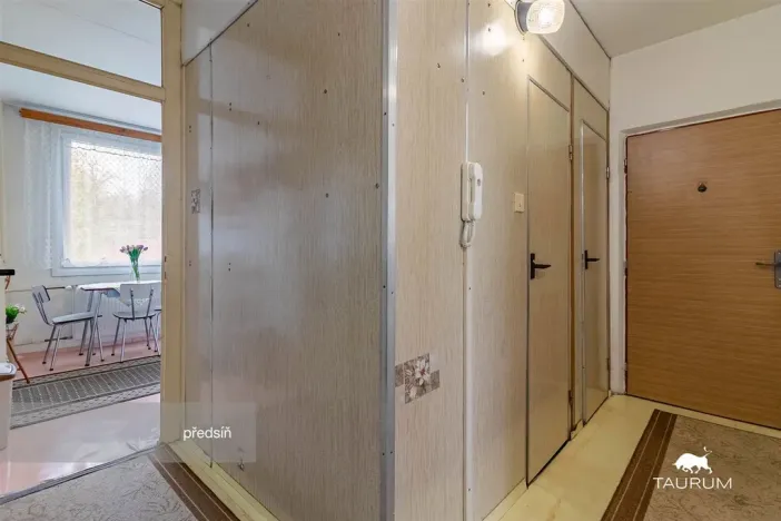 Prodej bytu 3+1, Plasy, Potoční, 74 m2