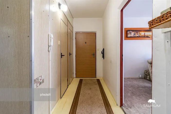 Prodej bytu 3+1, Plasy, Potoční, 74 m2