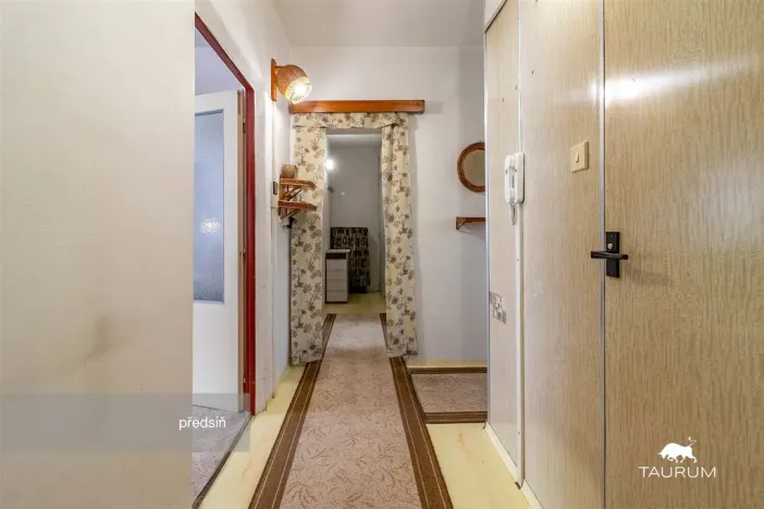 Prodej bytu 3+1, Plasy, Potoční, 74 m2