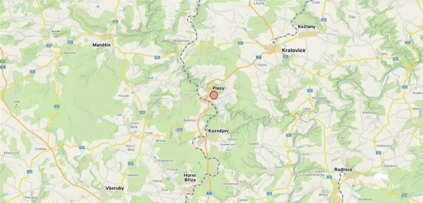 Prodej bytu 3+1, Plasy, Potoční, 74 m2