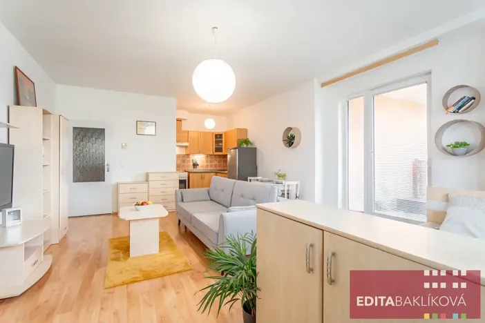 Prodej bytu 1+kk, Olomouc, Handkeho, 43 m2