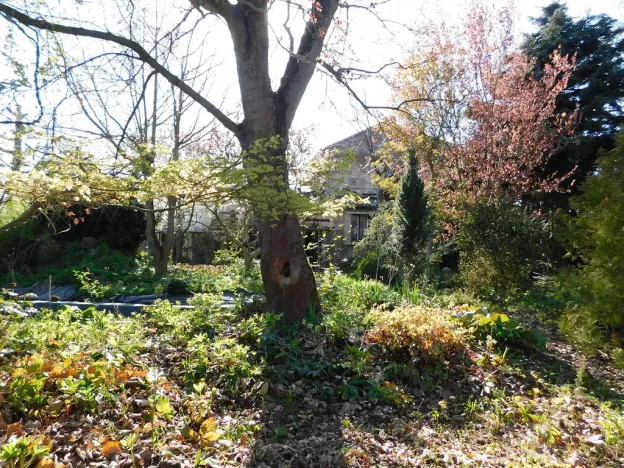 Prodej pozemku, Lhota, 3645 m2