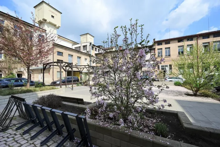 Pronájem ordinace, Hradec Králové, Pospíšilova, 55 m2