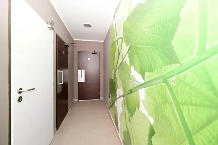 Pronájem ordinace, Hradec Králové, Pospíšilova, 55 m2