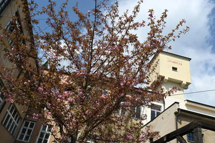 Pronájem ordinace, Hradec Králové, Pospíšilova, 49 m2