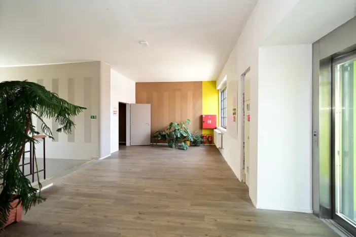 Pronájem ordinace, Hradec Králové, Pospíšilova, 49 m2