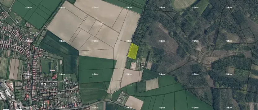 Prodej lesa, Bechlín, 6309 m2