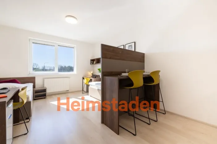 Pronájem bytu 1+kk, Plzeň - Jižní Předměstí, Magisterská, 28 m2