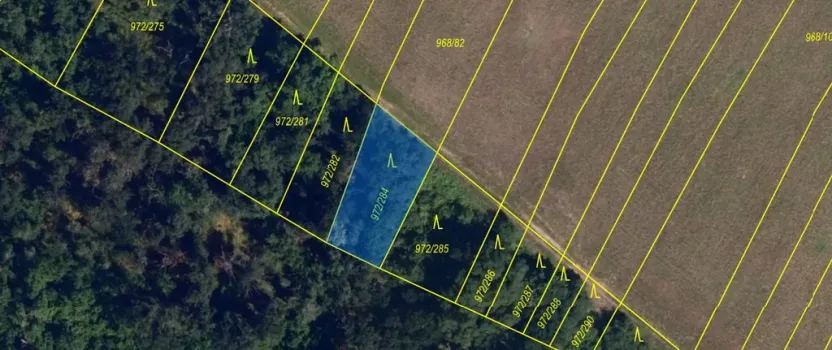 Prodej lesa, Silůvky, 375 m2