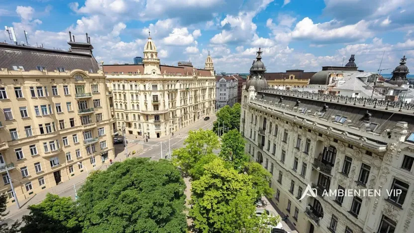 Prodej bytu 1+1, Brno, Čápkova, 54 m2