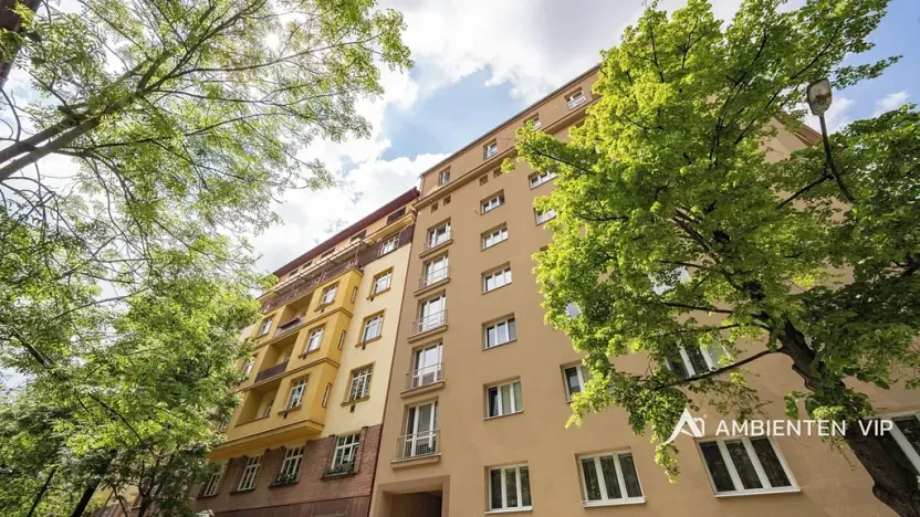 Prodej bytu 1+1, Brno, Čápkova, 54 m2