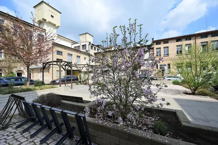 Pronájem ordinace, Hradec Králové, Pospíšilova, 55 m2