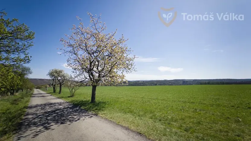 Prodej pole, Trnová, 179051 m2