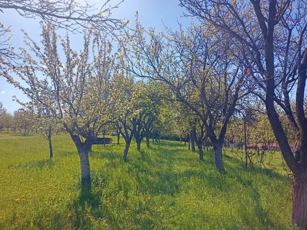 Prodej rodinného domu, Bojkovice, 190 m2
