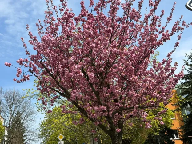 Prodej bytu 4+1, Kroměříž, Talichova, 96 m2