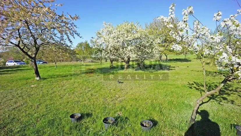 Prodej zahrady, Mělník, 9817 m2