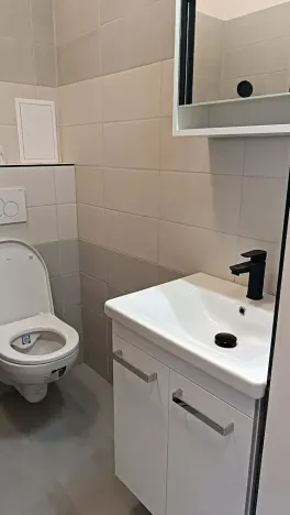 Pronájem bytu 1+kk, Praha - Nové Město, Opletalova, 26 m2