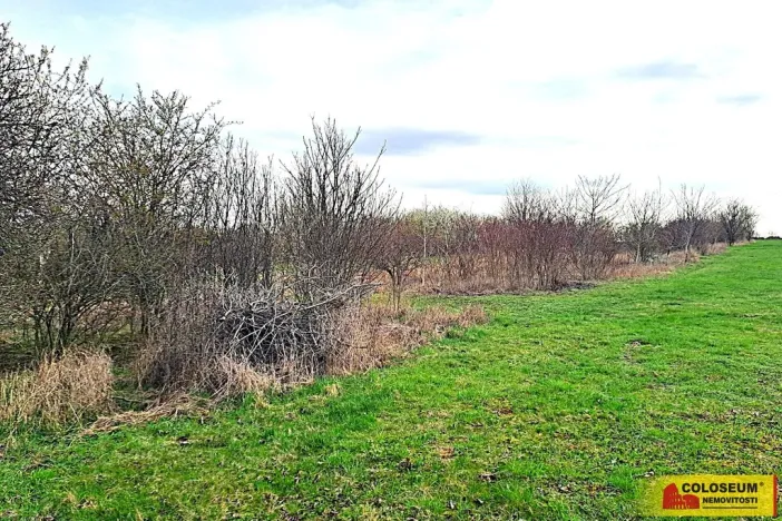 Prodej zahrady, Brno, 863 m2