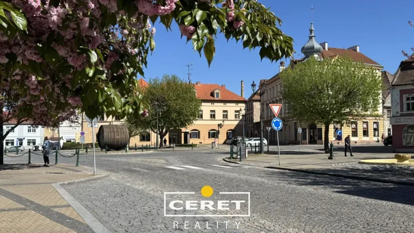 Prodej komerční nemovitosti, Žatec, Dvořákova, 139 m2