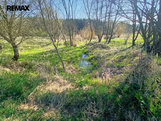 Prodej louky, Nemyšl, 20659 m2