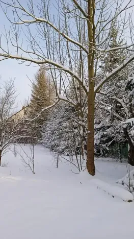 Prodej pozemku pro bydlení, Meziměstí, 2212 m2