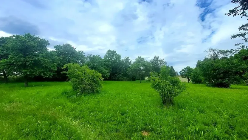 Prodej pozemku pro bydlení, Pecka, 1250 m2