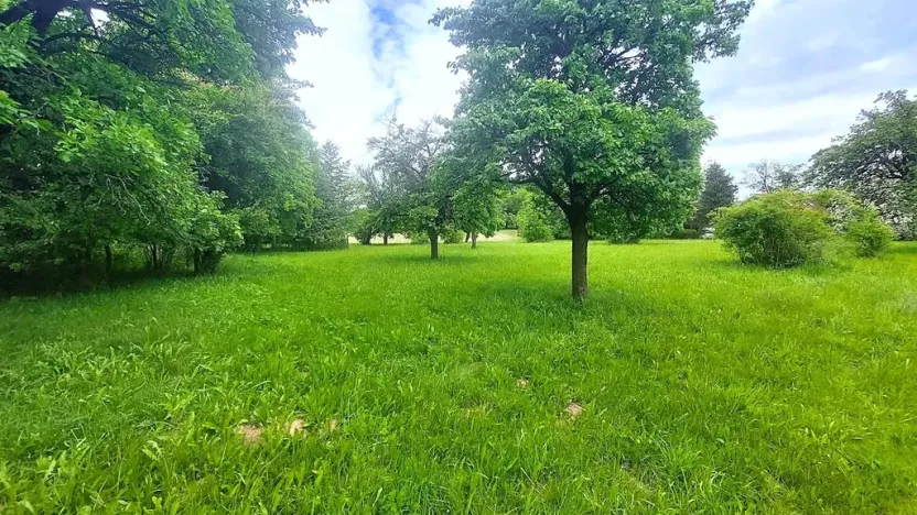 Prodej pozemku pro bydlení, Pecka, 1250 m2