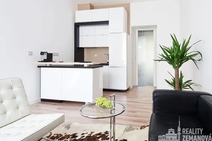 Pronájem bytu 2+kk, Praha - Žižkov, Bořivojova, 51 m2